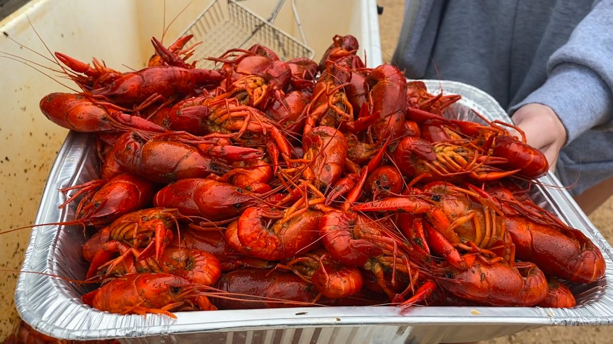 Coastal Cotton - Ether - Crawfish
